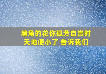 墙角的花你孤芳自赏时天地便小了 告诉我们